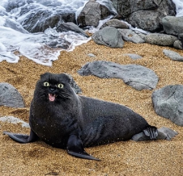 Так себе картинки 22.11.25