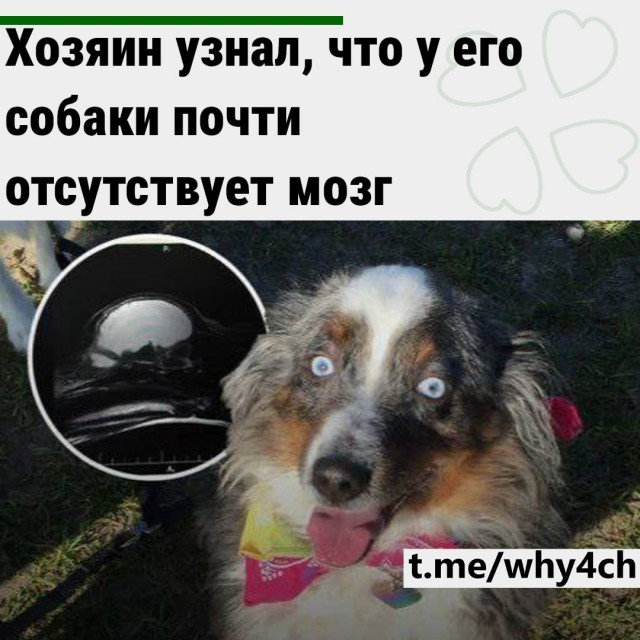 Бывает, есть подруга. Не шучу.