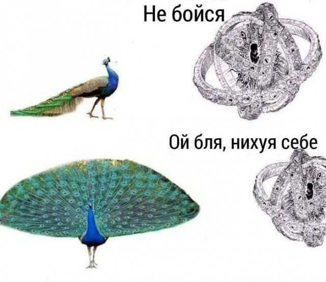 Картинки для деградации 154 (разной степени свежести)