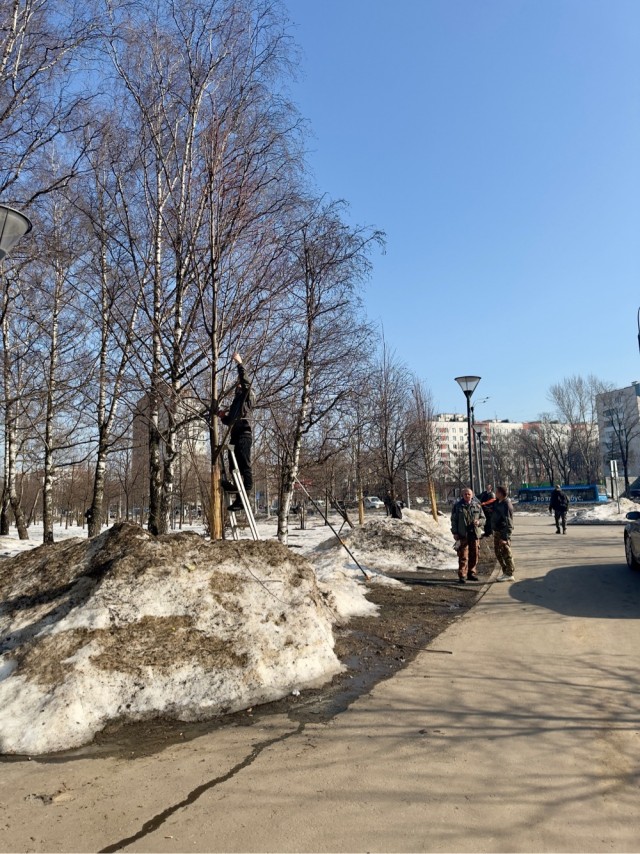 Грачи прилетели!