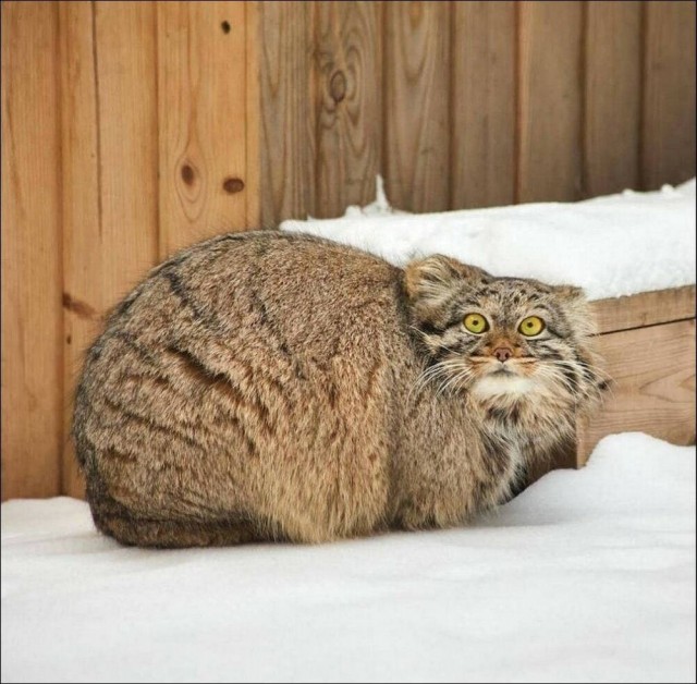 Картинки на 15.04.2025