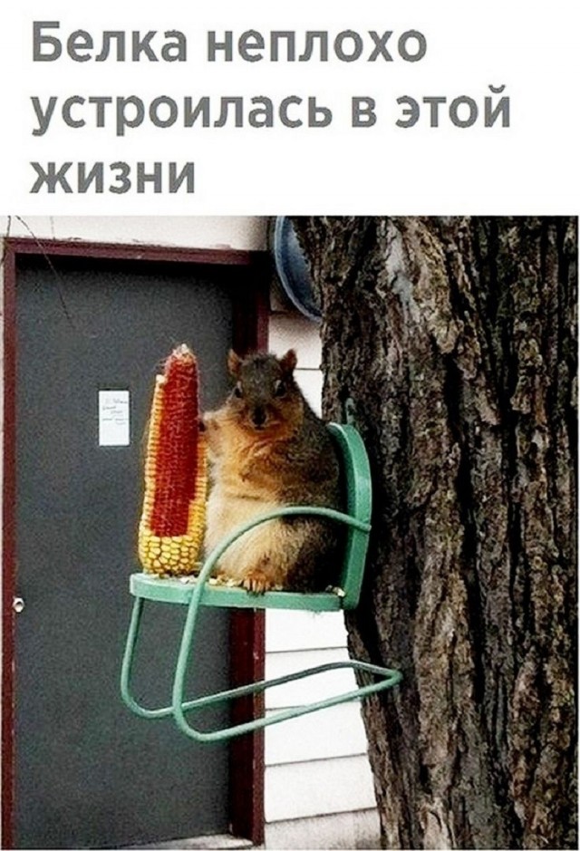Так себе картинки 12.06.26