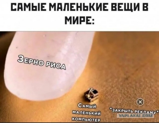 Приколюхи