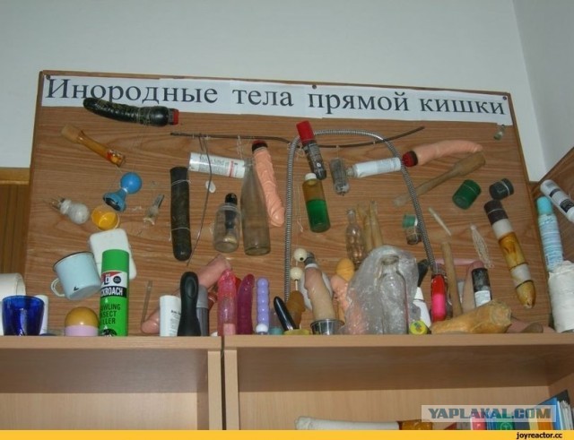 Будьте осторожны в лесу - можно напороться на сук
