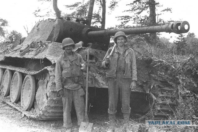 Wargaming 12, WoT сотоварищи