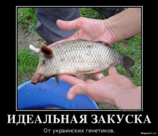 Война не повод для смеха, но....