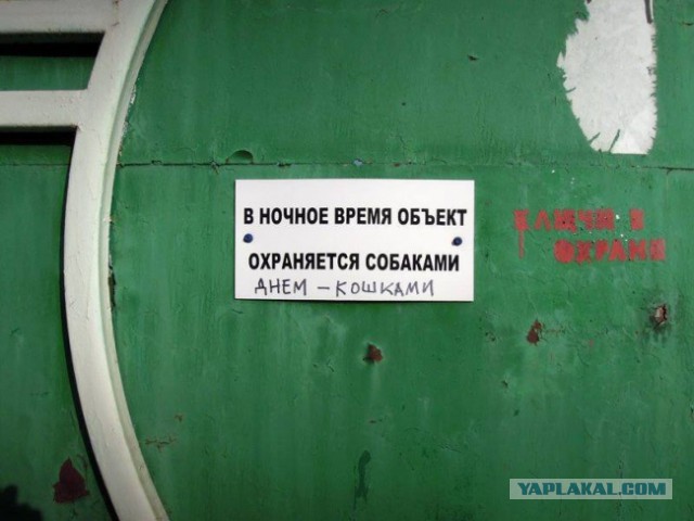 Шикарные объявления августа месяца