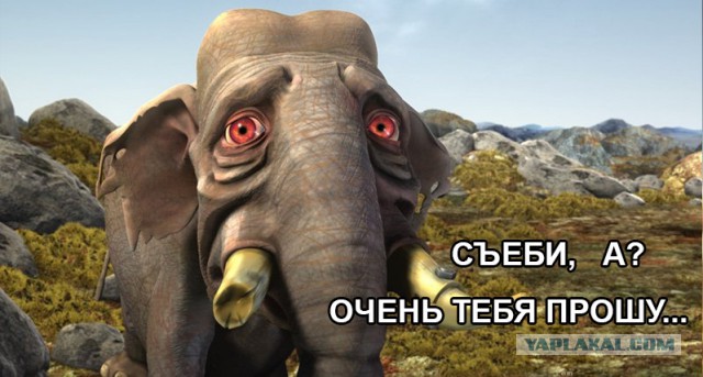 Мотоциклиста уговорили повернуть обратно...