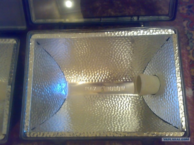 Экономный яркий свет