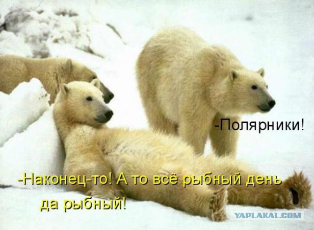 Весёлые картинки на субботу