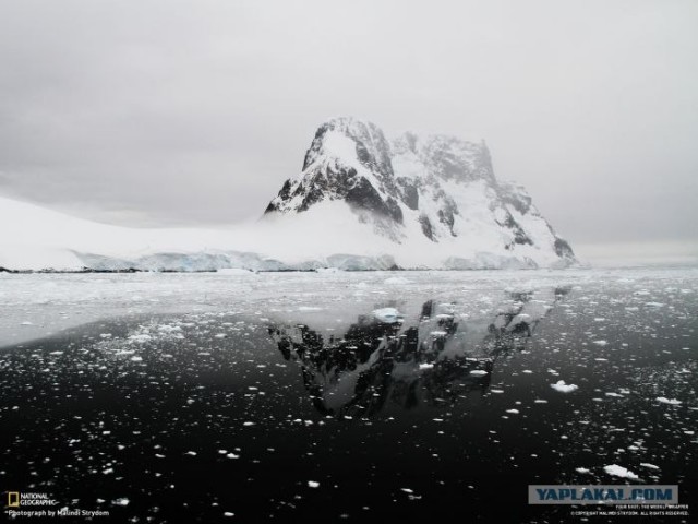 Лучшие фотографии от National Geographic за ноябрь