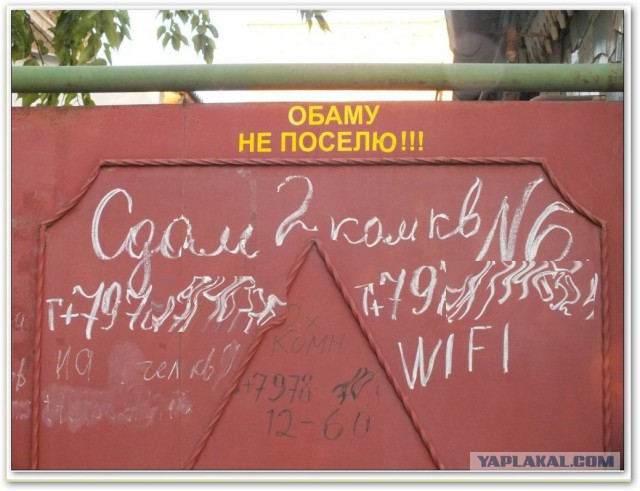 Непутёвые заметки. Поездка на Чёрное море
