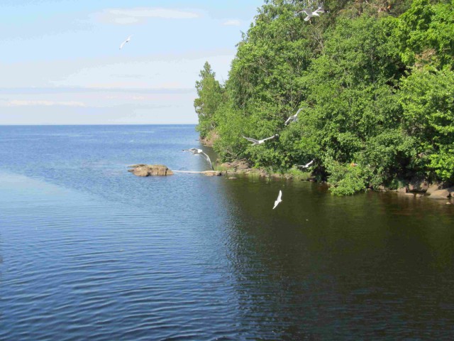 Я узнал, что у меня есть огромная семья