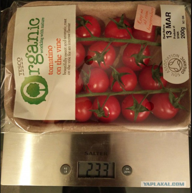 "Это заграница, там все честно" - убеждали нас