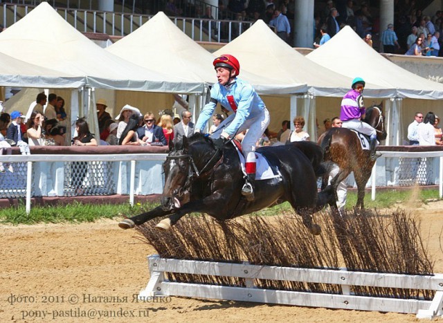 Подборка интересных и веселых картинок