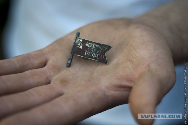 Госдума скоро станет самой красивой организацией России