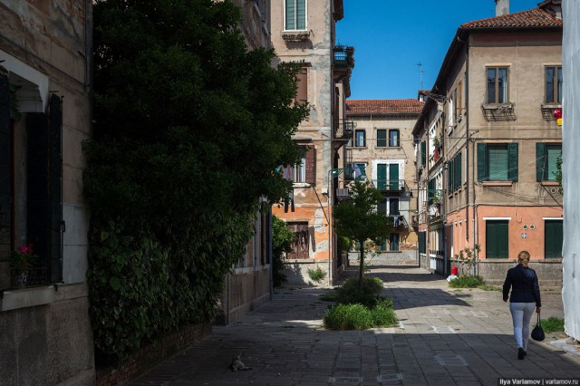 Венеция, детали