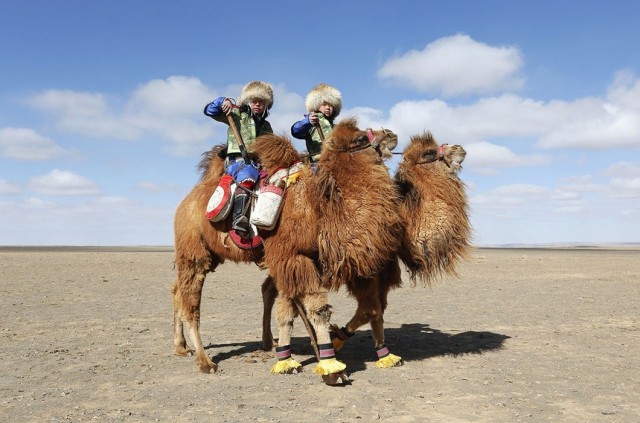 Подборка любопытных фотографий со всего света