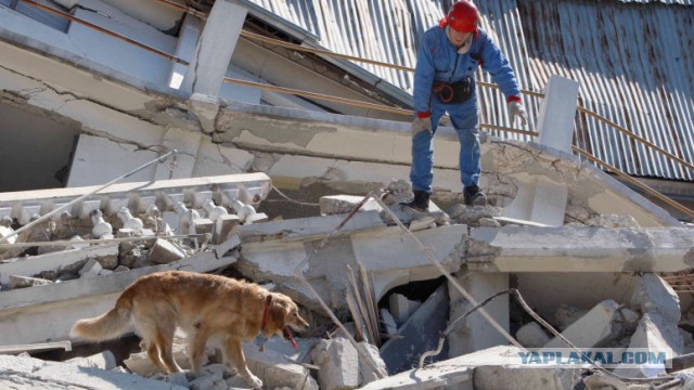 Россия предложила помощь пережившей землетрясение Италии. (С комментариями итальянцев)