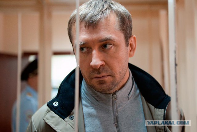 На счетах семьи Захарченко обнаружено 300 млн.евро