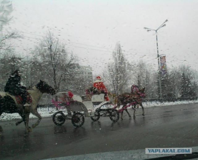 Разные картинки из сети