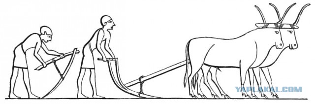 Пора вари... валить бетон! "Альты", шах и мат!