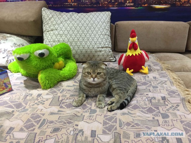 Мой домашний кинотеатр