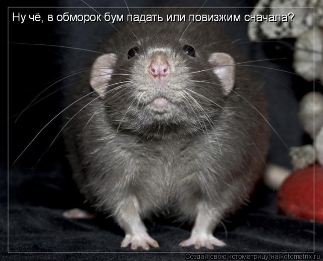 Наша служба и опасна и страшна...