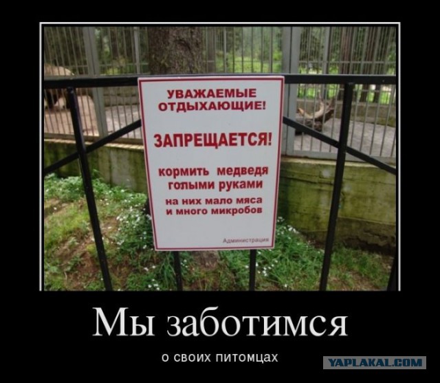 Покажи как Тима стесняется