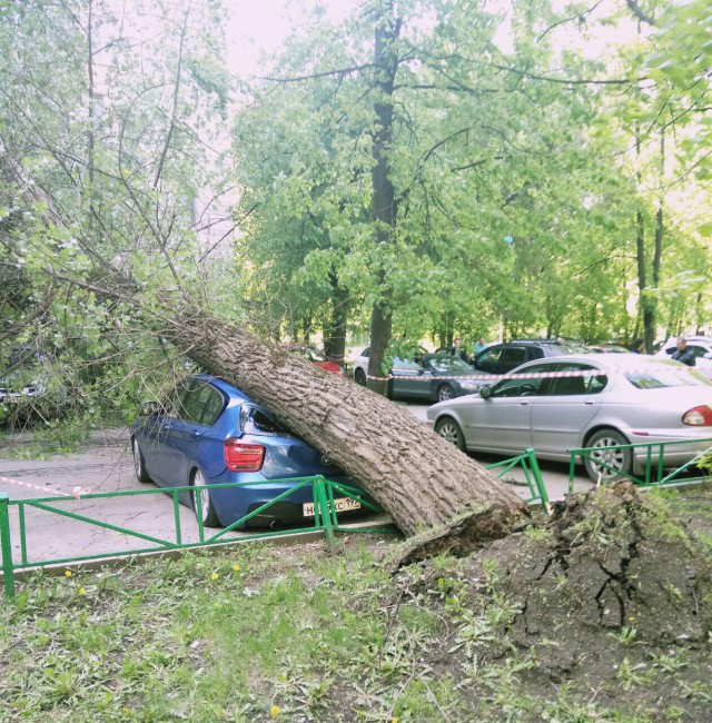 В Москве ураган!