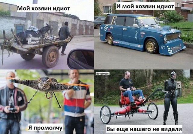Забавные картинки