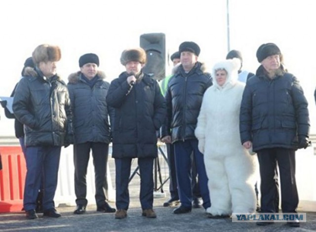Почему люди так боятся человека в костюме медведя?