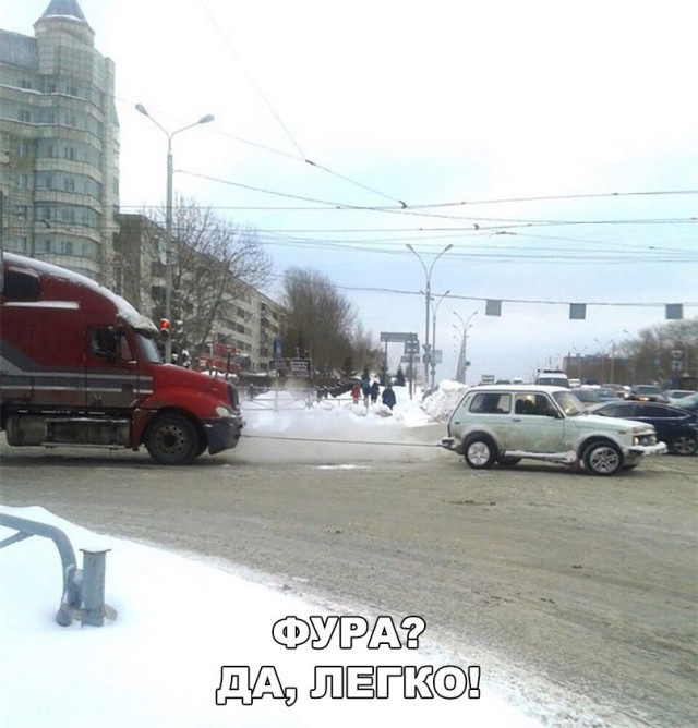 Подборка интересных и веселых картинок