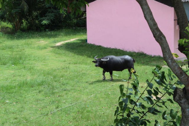 Полтора месяца безделья или "Первое семейное бюджетное путешествие"