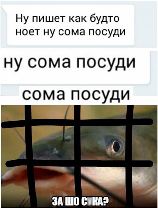 Нестандартный юмор