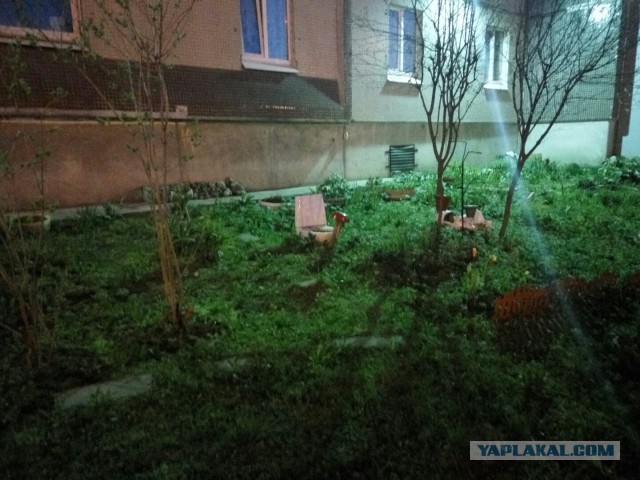 В Иркутске возле одного из домов вот так обустроили придомовую территорию