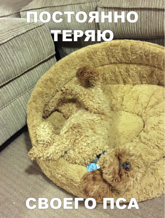 Нестандартный юмор