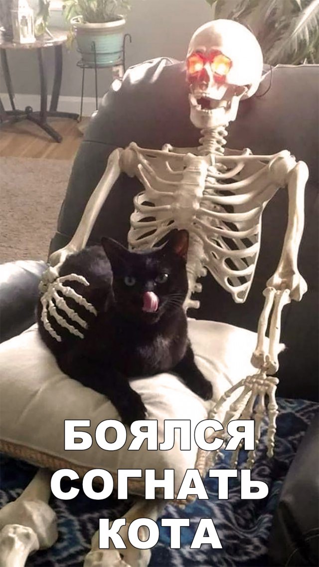 Немного милоты