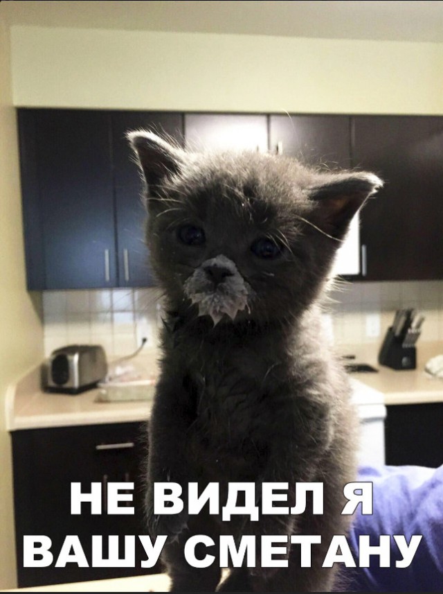 Нестандартный юмор