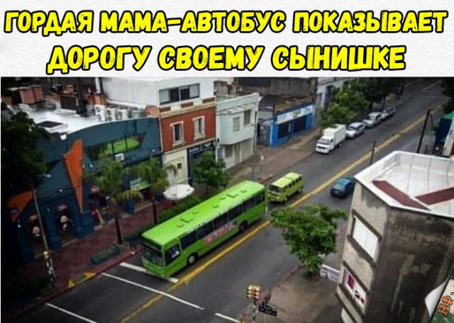 Прикольные картинки абавсём
