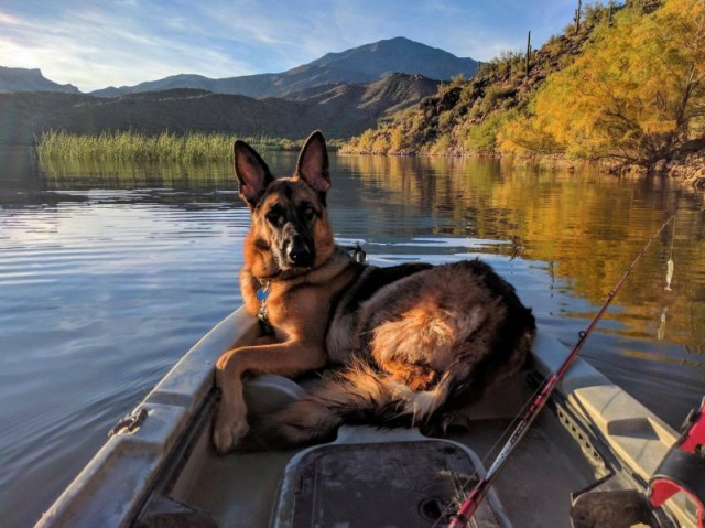 Просто фото