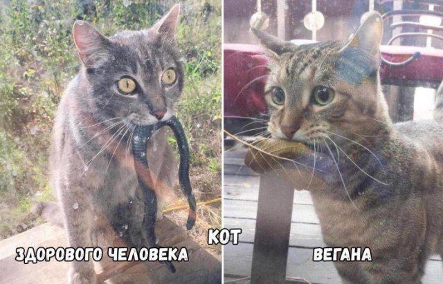Немного картинок для настроения