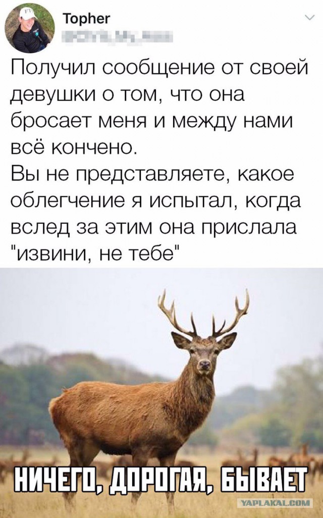 Немного картинок с надписями и без - 15