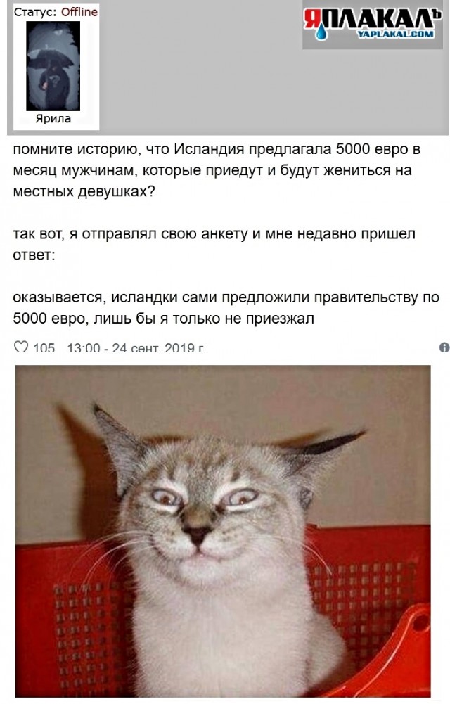 Картинки с надписями, истории и анекдоты 08.10.19