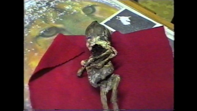 Детальный анализ мумий инопланетян найденных на плато Наска