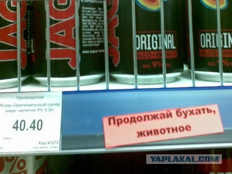 Продолжай бухать, животное