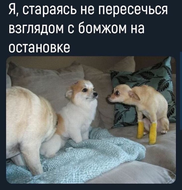 Немного картинок для настроения 18.12.19