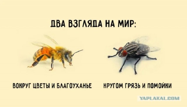 Вся суть "нашего достояния" государства в одном фото