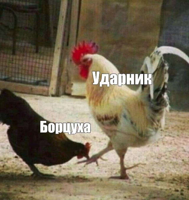 Трюки выполнены хорошо подготовленным специалистом