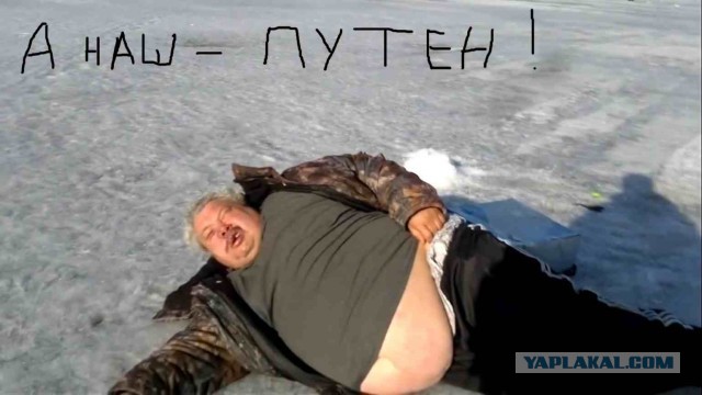 Скотсети и прочие интернеты 21.02.20